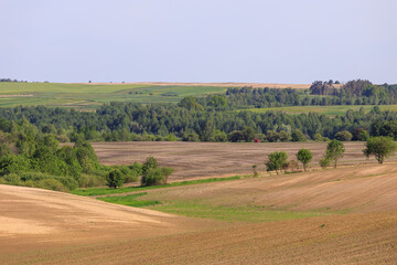 Fototapeta na wymiar plowed field zhytomyr region ukraine