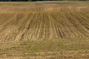 plowed field zhytomyr region ukraine
