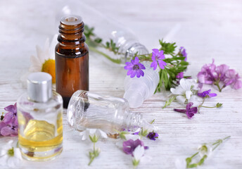 bottles of essential oil and colorful petals of fresh wild  flowers on white table