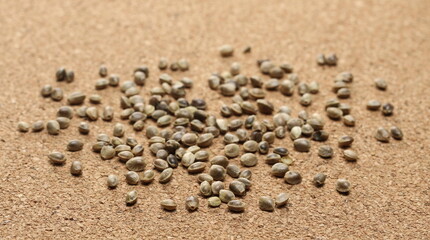 Fototapeta na wymiar Hemp seeds on cork mat, plug surface background and texture 