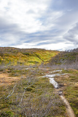 Pathway through a fjell landscape in Norway