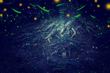 Abstract and magical image of Firefly flying in the night forest. Fairy tale concept