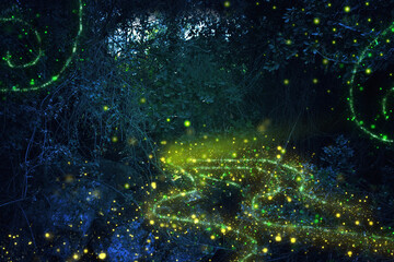 Fototapeta na wymiar Abstract and magical image of Firefly flying in the night forest. Fairy tale concept