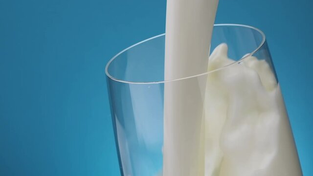 Splash of Pouring milk in glass against blue background, slow motion of flowing cream stream, slow motion