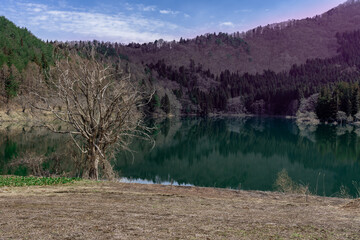 新緑が美しい春の北竜湖
