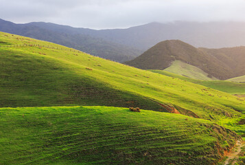 New Zealand hills