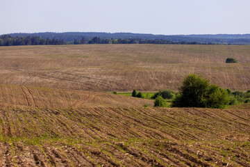 plowed field zhytomyr region ukraine