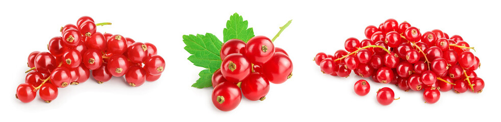 Red currant berries with leaf isolated on white background. Set or collection