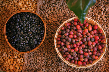 Coffee bean and berries in basket background