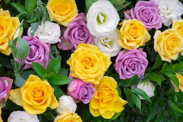 rose flower in bouquet background