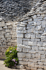 Trulli houses in Alberobello, UNESCO site, Apulia region, Italy