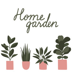 Set of house indoor plants in pots. Square banner with copy space. Home garden lettering. Flat vector.