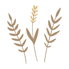 Ears of Wheat. Hand drawn wheat ears, oat, rye or barley branch. Harvest clipart. Vector design element, icon, symbol.