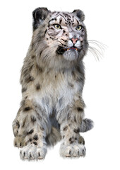3D Rendering Snow Leopard on White