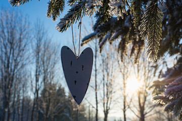 One silhouette wooden heart hung on a spruce branch at sunset evening in a snowy park.