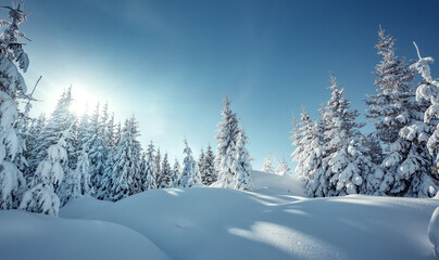 Fototapeta na wymiar Wonderful Winter Landscape. Awesome Alpine Highlands in Sunny Day. Christmas holyday concept. Winter mountain forest. Snowy mountains and perfect blue sky. Amazing Nature background. postcard