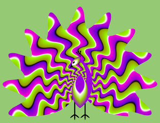 Peacock with green and purple tail. Spin illusion.
