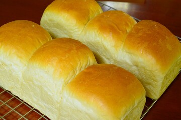 Fresh homemade Bread loaf on vacation day..