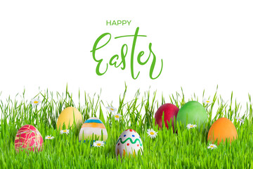 Easter Eggs in Grass Isoleted