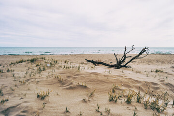 Lonely beach in the delta del ebro, tarragona, spain.