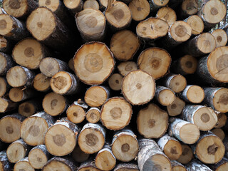 Fototapeta premium A stack of different wooden logs lying on top of each other. Wooden background.