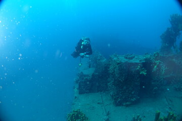 Obraz na płótnie Canvas Diving, Wrecks, Caribbean, Windward Islands, Dominica, Guadeloupe, Martinique