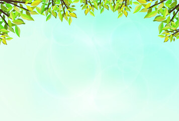 Fototapeta premium 新緑と青空の背景(黄緑)