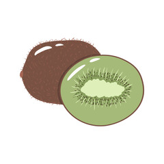 Kiwi colorful vector illustration isolated on white background. Hand drawn style, cute doodle art. Agricultural concept. Fruits for gardening. Healthy diet.