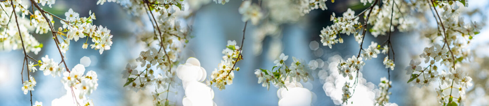 Spring Free Stock Free Spring Images – Browse 43,619 Free Stock Photos, Vectors, and ...