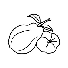 Quince Fruit Icon. Vector Design Illustration Sign.
