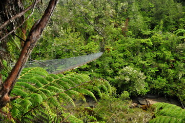 abenteuerliche H&auml;ngebr&uuml;cke im Nationalpark 