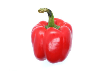 Red Pepper isolated on white background. Bell sweet pepper. Paprika. One. Close-up.