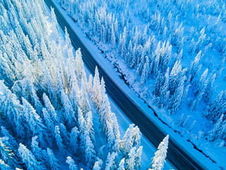 Highway through a mountain pass with snow covered trees.