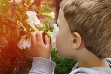 Obraz na płótnie Canvas Little boy hold summer flowers and smelling them.Cute blond toddler.Close up photography.