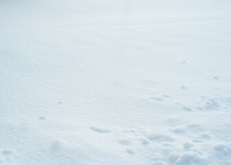 Obraz premium fresh pure snow background texture 