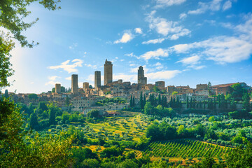 Fototapeta na wymiar Panoramic view of chianti and vernaccia vineyards. San Gimignano. Tuscany, Italy