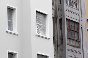 senior man farmer  picking  tomatoes  in organic tomato garden