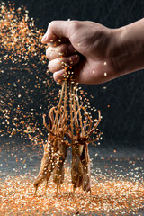 Pepper the duck tongue