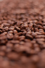 Roasted coffee beans