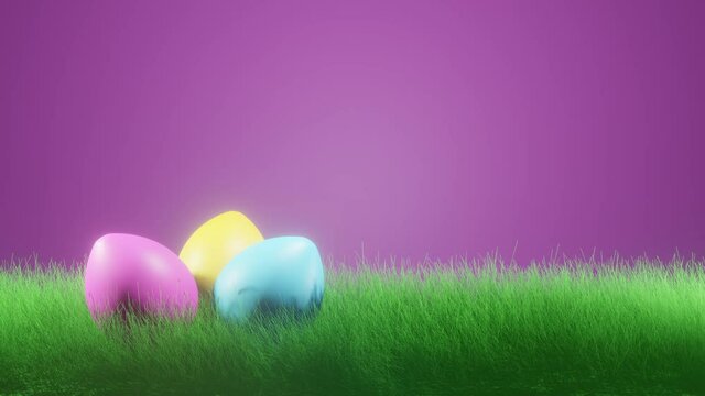 Easter eggs falling down to green grass with empty purple background for own text. 3D rendering easter background motion animation.