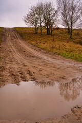 Fototapeta na wymiar A muddy puddle and a dirt road at a moor. Picture from Revingehed, Scania county, Sweden