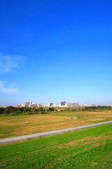 Fototapeta na wymiar 秋の除草された江戸川土手から見る河川敷風景