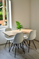 Contemporary studio apartment with kitchen open to living room. Scandinavian style interior