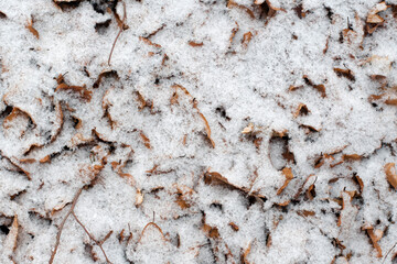 winter texture