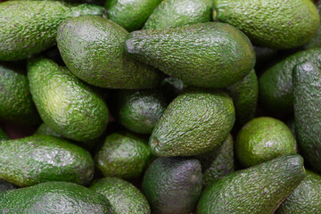 fresh avocado on the market. avocados are very nutritious and co