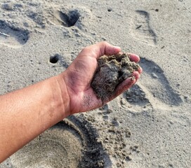 the person's hand touching the sand