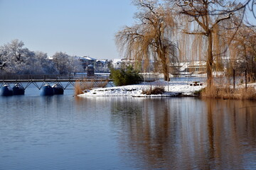 Fototapeta na wymiar Der Seepark in Freiburg an einem sonnigen Wintertag