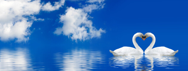 Valentine's Day with two swans on a blue sky background © cooperr