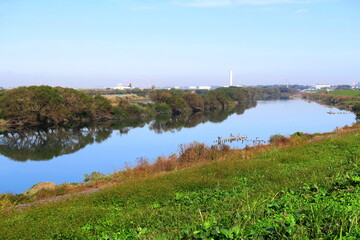 Fototapeta na wymiar 土手から見る秋の江戸川風景