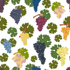 Grapes varieties for wine seamless pattern